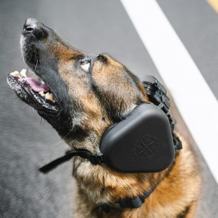 Canine Aviation Ear Protection